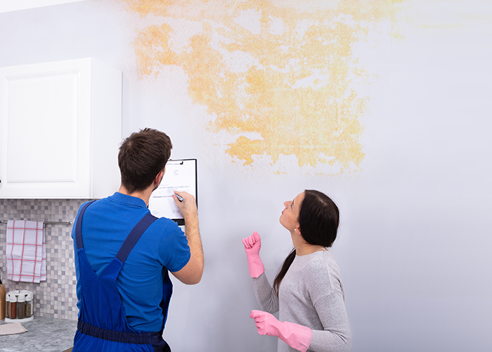 Water Damage Restoration: What You Need to Know