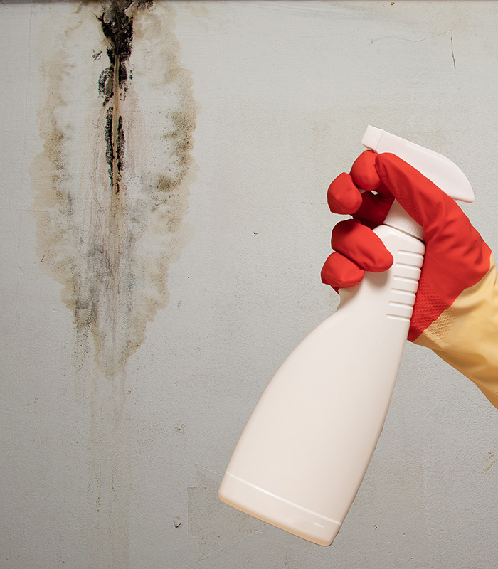 Water Damage Restoration Image 1