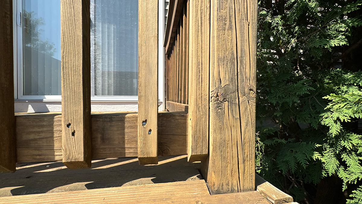 Additional Services picture