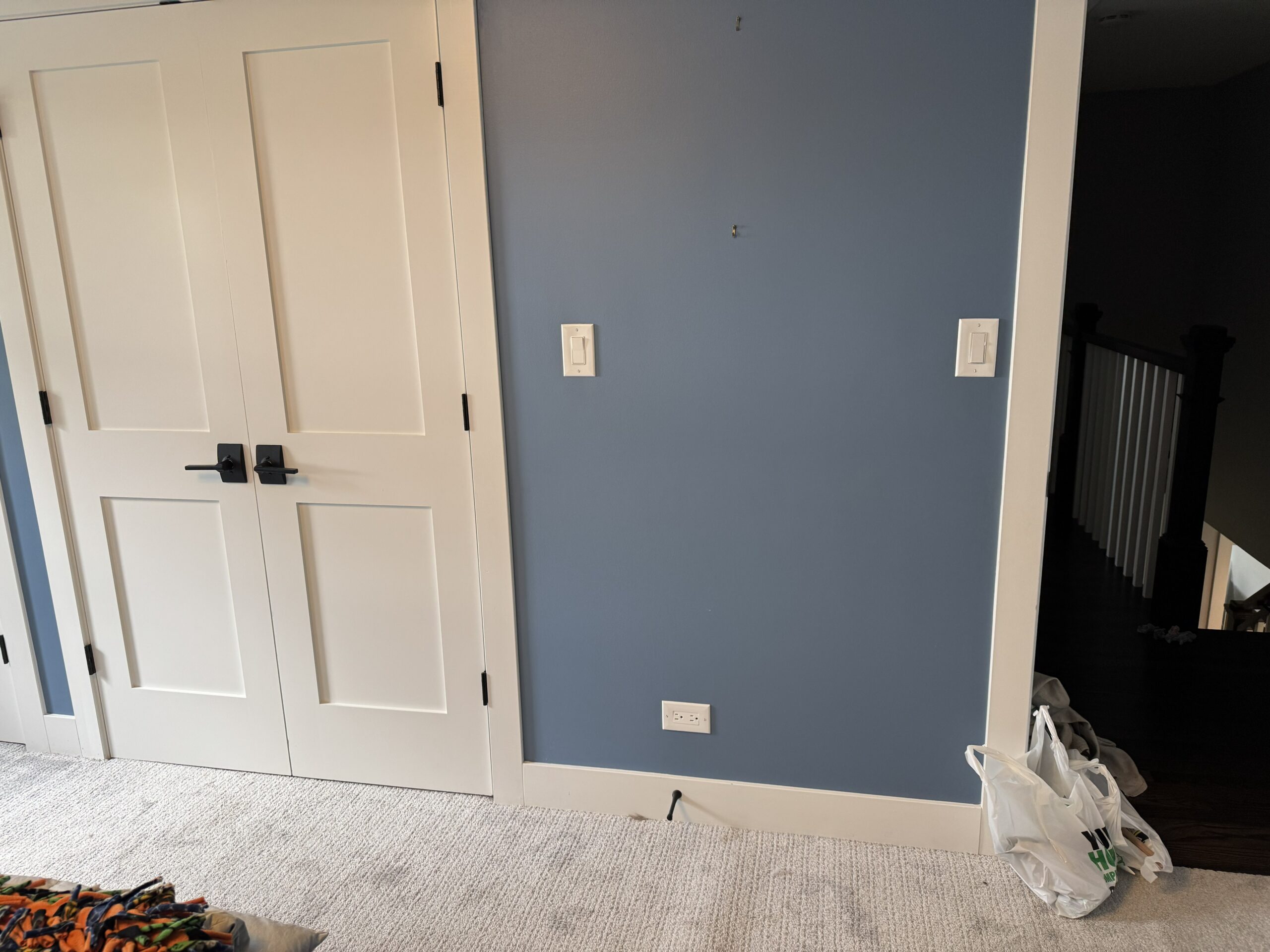 Bedroom Before Accent Wall Installation — Clarendon Hills IL