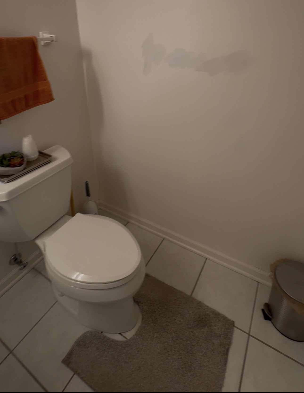 Bathroom before expansion and remodeling in Buffalo Grove IL