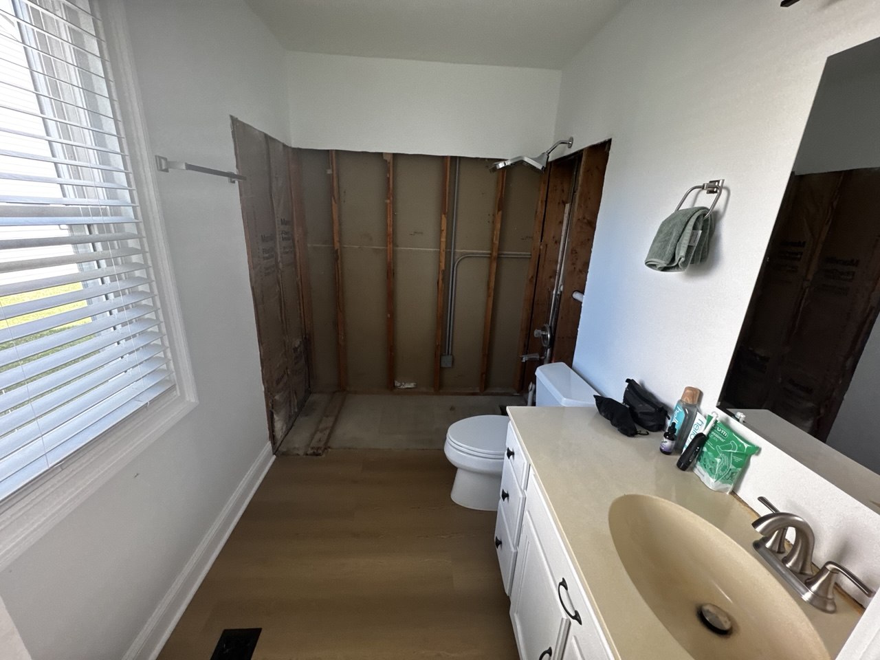 Bathroom before remodeling in Aurora IL